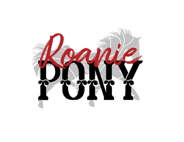 Roanie Pony